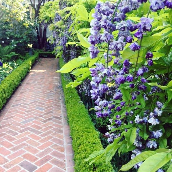 a brick path in the middle of a garden with purple flowers and greenery on either side