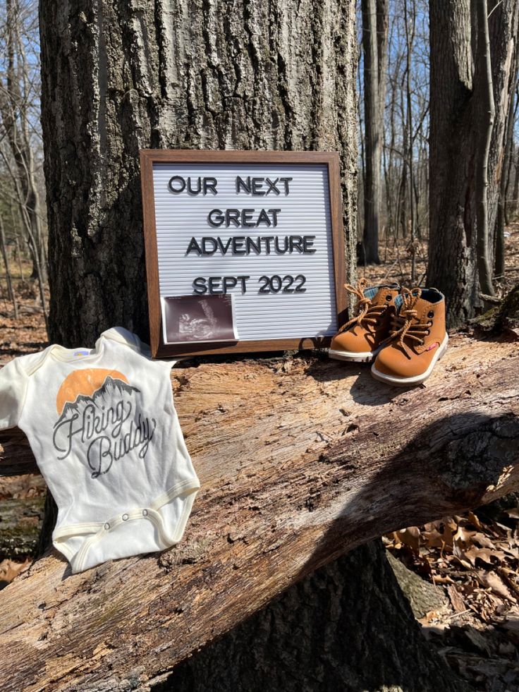 a sign that says our next great adventure is set on a tree stump in the woods