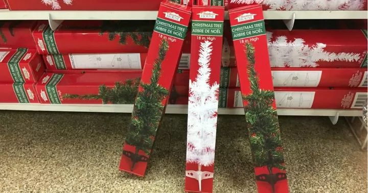 two snow skis with christmas decorations on them in front of some red and white boxes