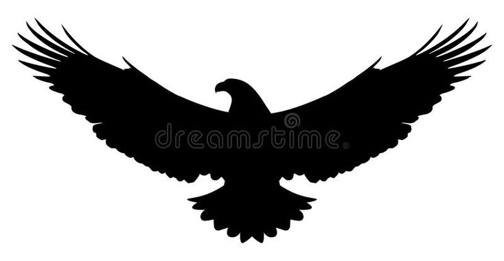 the silhouette of an eagle with spread wings on a white background royalty illustration stock illustration