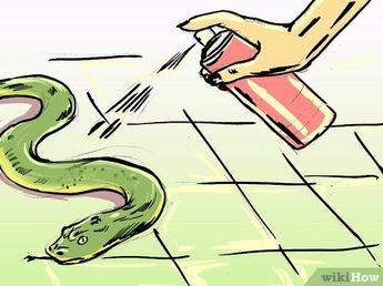 a person spraying down a green snake on the floor