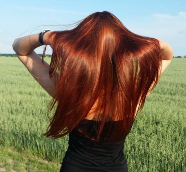 Burgundy Orange Hair, Henna Freckles, Red Hair Pictures, Red Hair Day, Burgundy Hair Dye, Red Hair Inspo, Goth Hair, Ginger Hair Color, Henna Hair