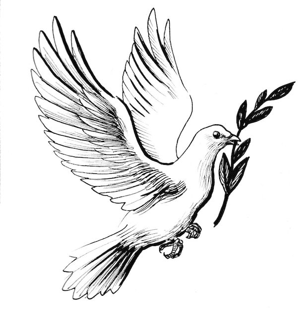 a bird flying with an olive branch in its beak