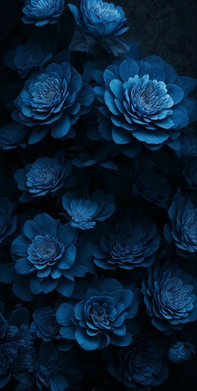 dark blue flowers are in the middle of a wallpapered area with black background