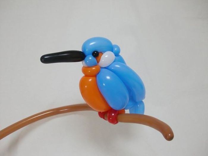 a blue and orange bird sitting on top of a wooden stick with a black handle