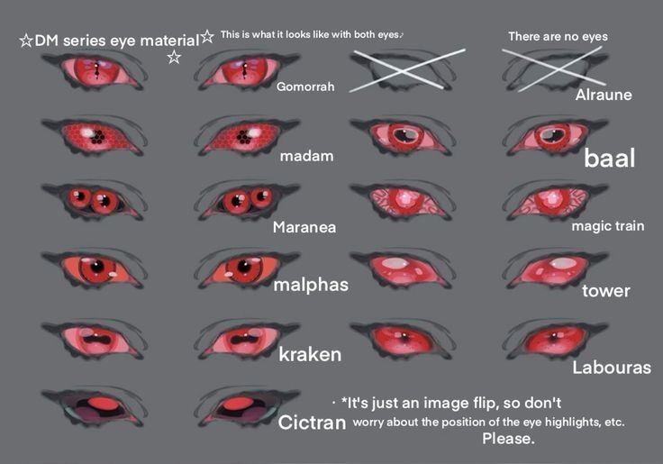 the different parts of an eye