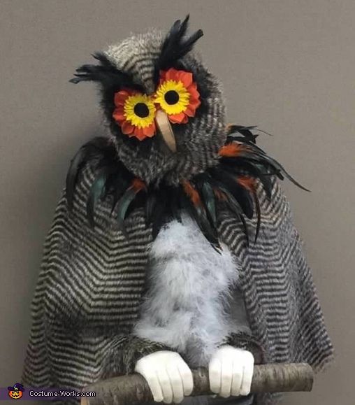 an owl sitting on top of a tree branch with feathers and flowers in it's eyes