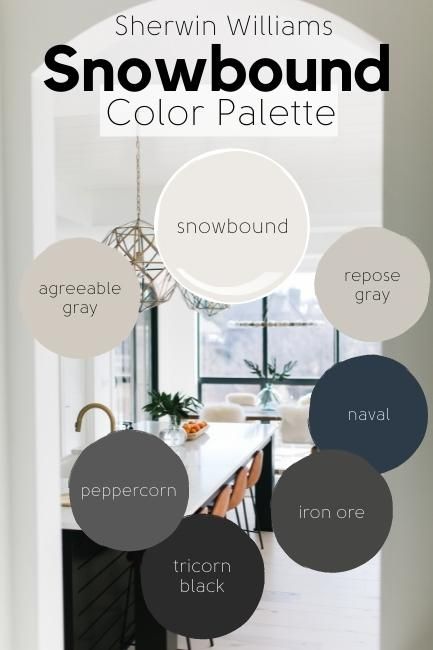 the snowbound color palette is shown in different shades