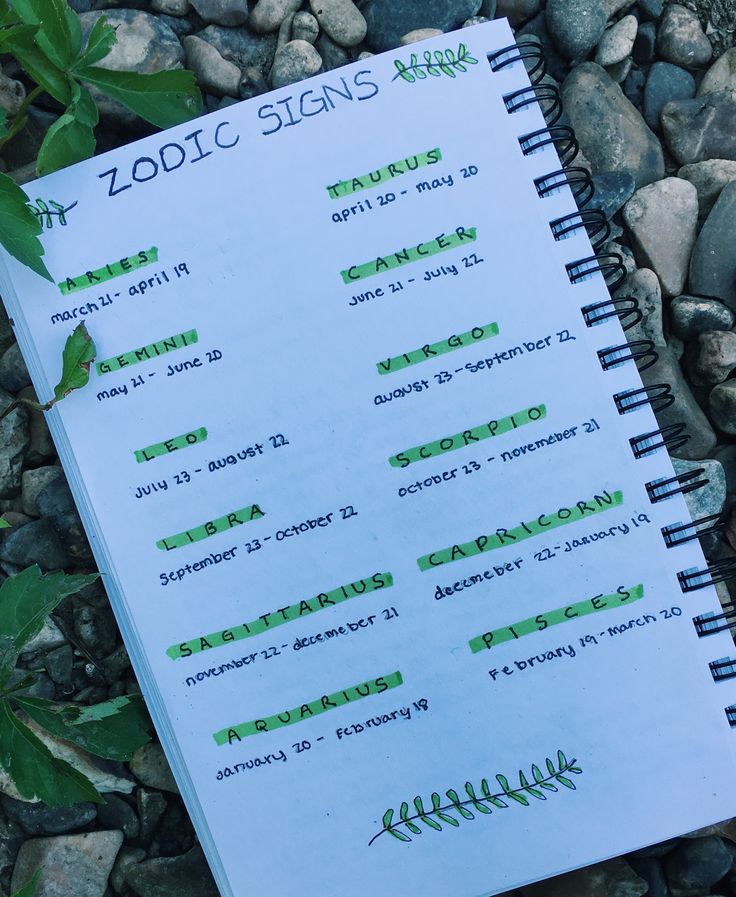 a spiral notebook sitting on top of a pile of rocks next to leaves and plants