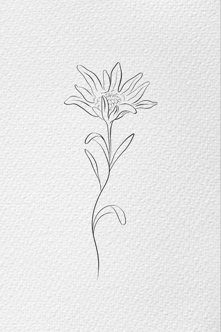 a drawing of a flower on white paper