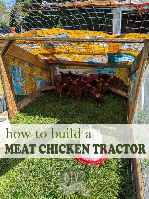 chickens in a chicken coop with the words how to build a meat chicken tractor