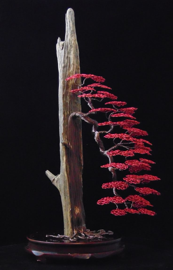 a tree with red flowers growing out of it's trunk on a black background