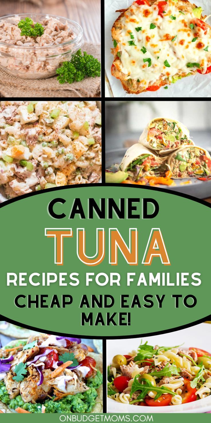 the cover of canned tuna recipes for families, including salads and easy to make