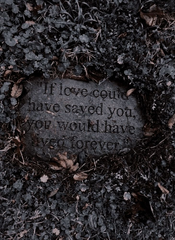 a stone that reads if love could have saved you, your own will have been forever