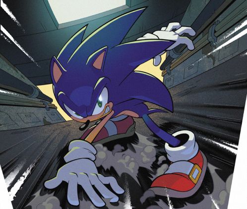 an image of a comic book page with sonic the hedge