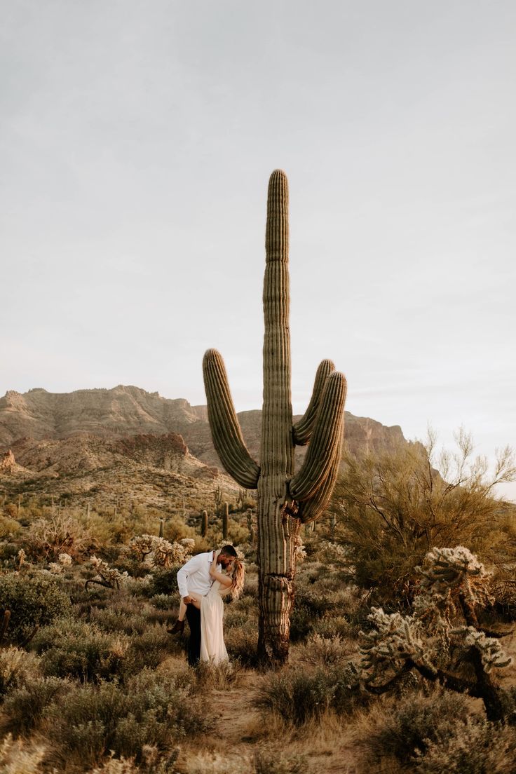 a person standing in front of a large cactus