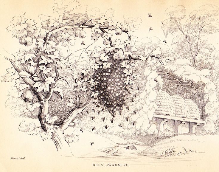 an old drawing of a beehive in a tree next to a building with a roof