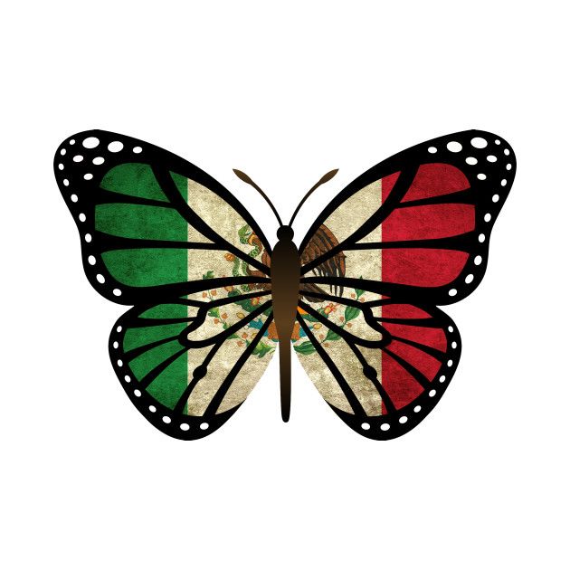 a butterfly with the flag of italy on it's wings