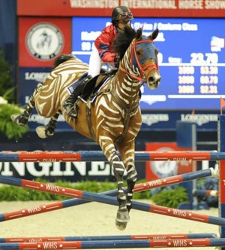 a man riding on the back of a brown and white horse over an obstacle course