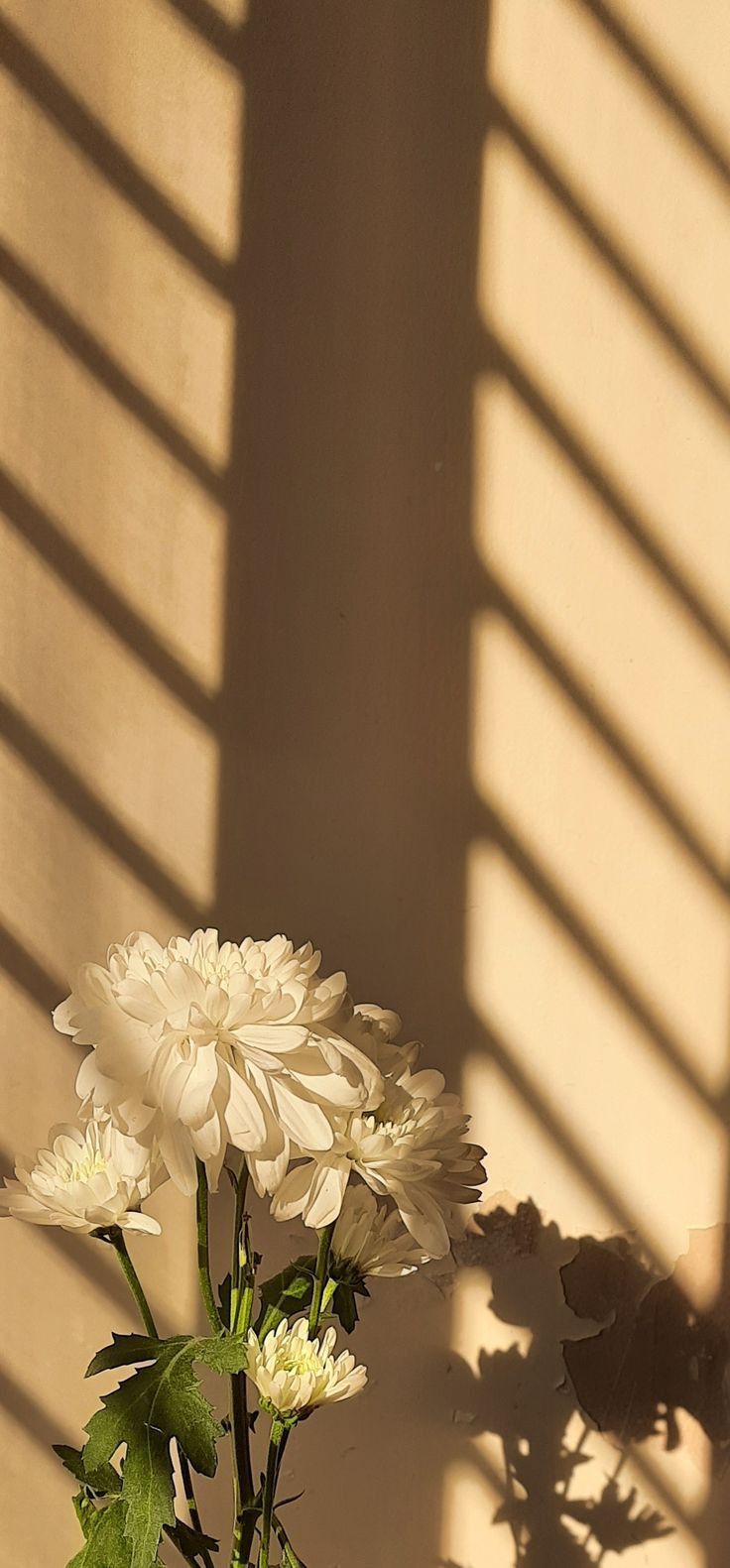 a vase with white flowers in it sitting on a table