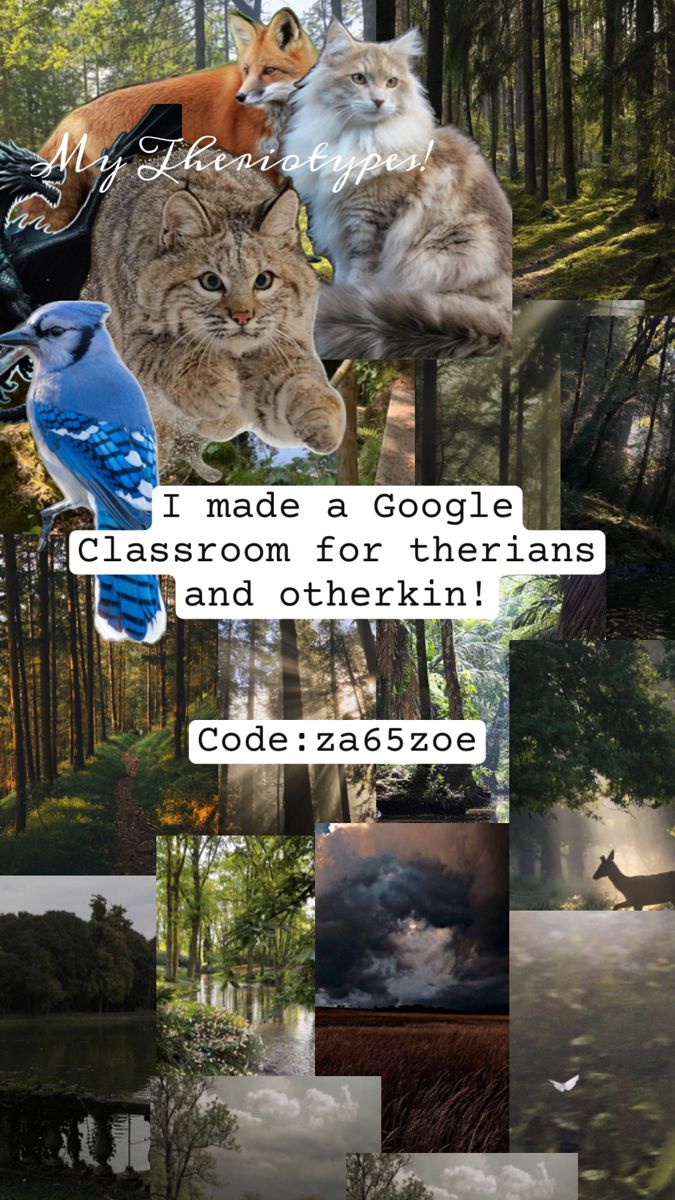 a collage of pictures with cats and birds in the woods, trees, water, clouds