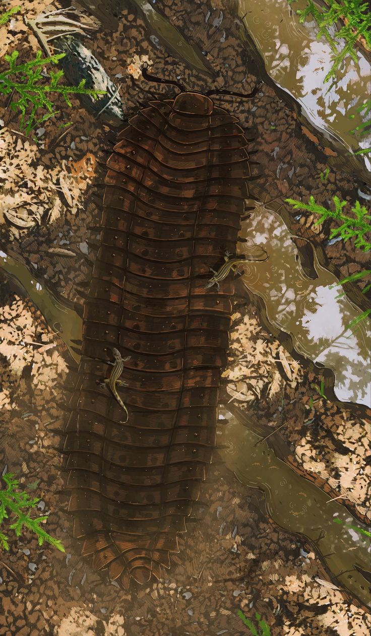 an animal that is laying down in the dirt by some trees and water with its reflection on the ground