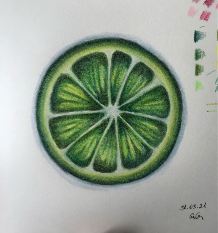 a drawing of a lime cut in half