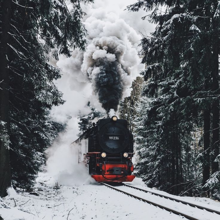 a train traveling through a forest covered in snow next to tall pine trees with steam pouring out of it