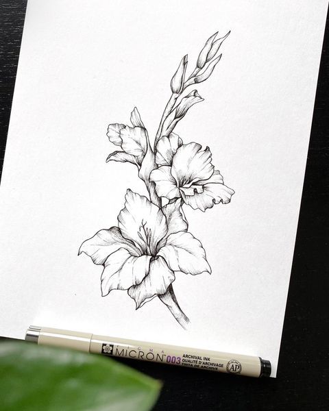 a pencil drawing of a flower on paper