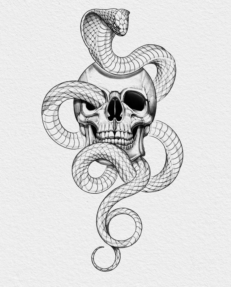 a skull with a snake wrapped around it