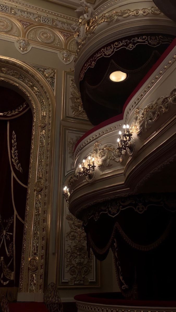 an ornately decorated auditorium with red velvet seats