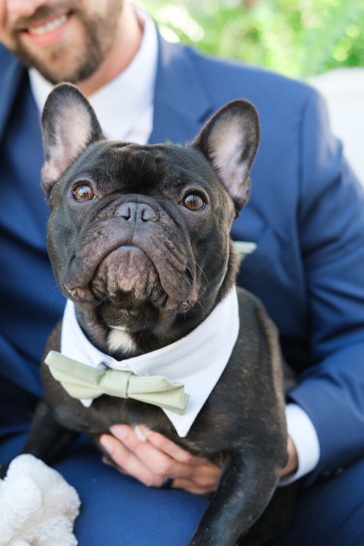 a man in a suit and bow tie holding a small dog