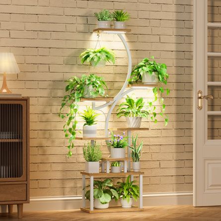 there is a plant stand with plants on it in front of a brick wall and door