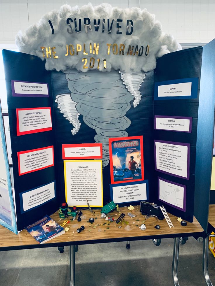 a display with information about the japan tornado