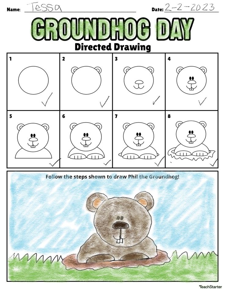 groundhog day worksheet for kids to learn how to draw teddy bears and other animals