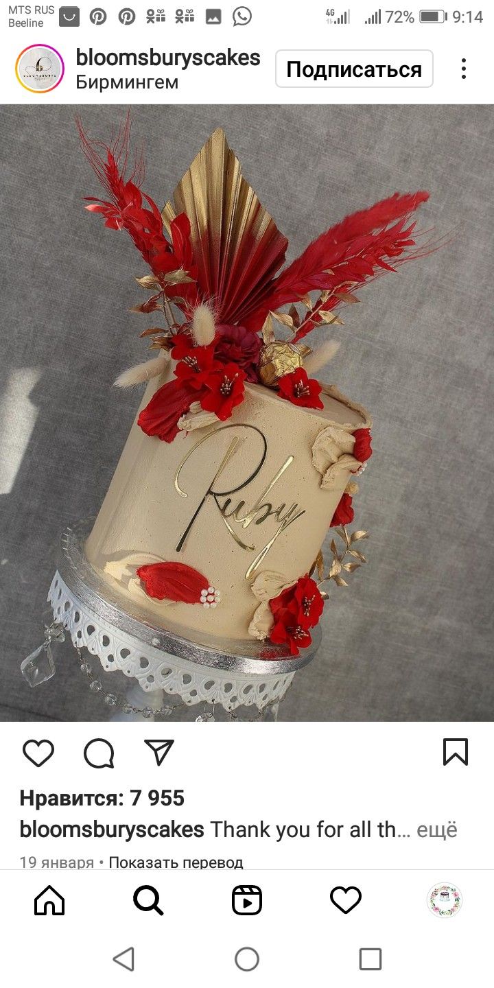 the cake is decorated with red flowers and feathers