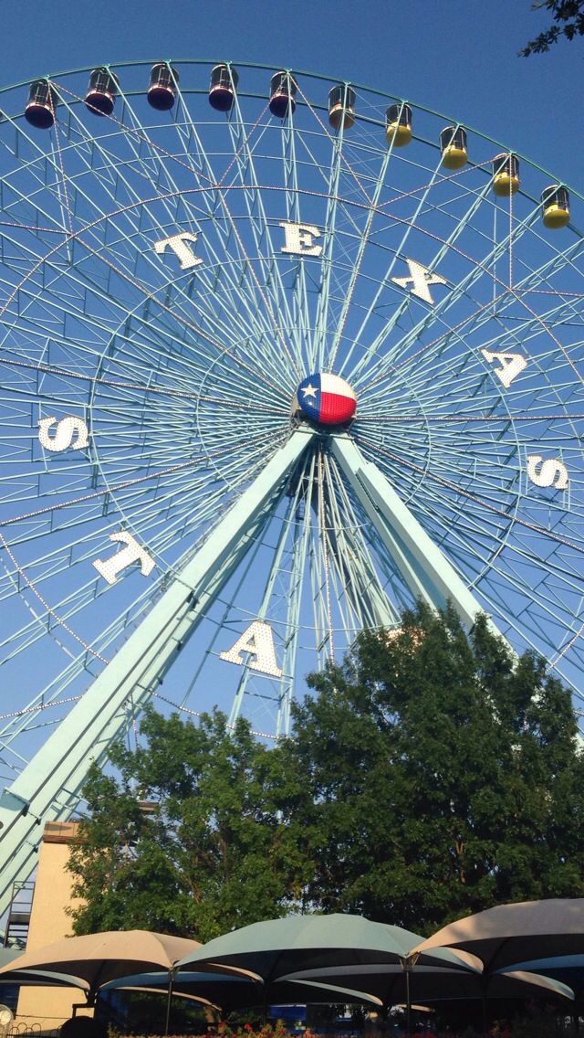 a large ferris wheel sitting in the middle of a park