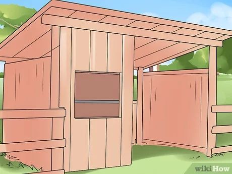 a small wooden shed with the door open