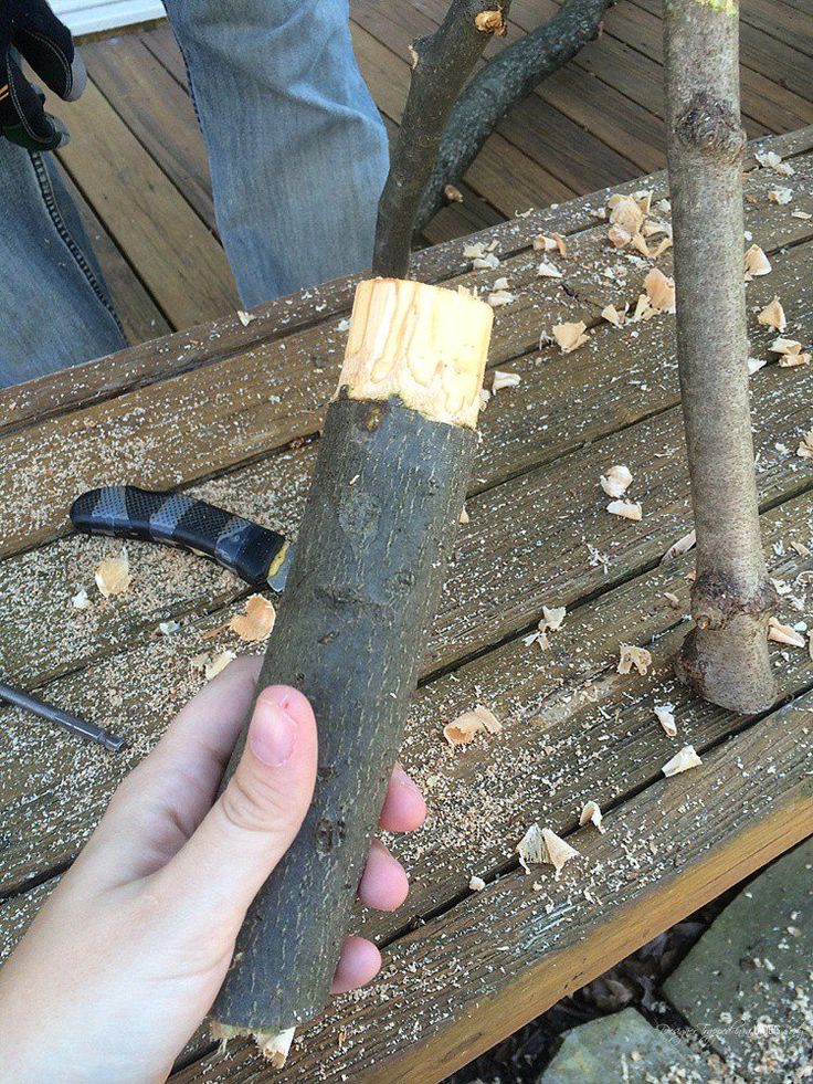 a person holding a piece of wood in their hand