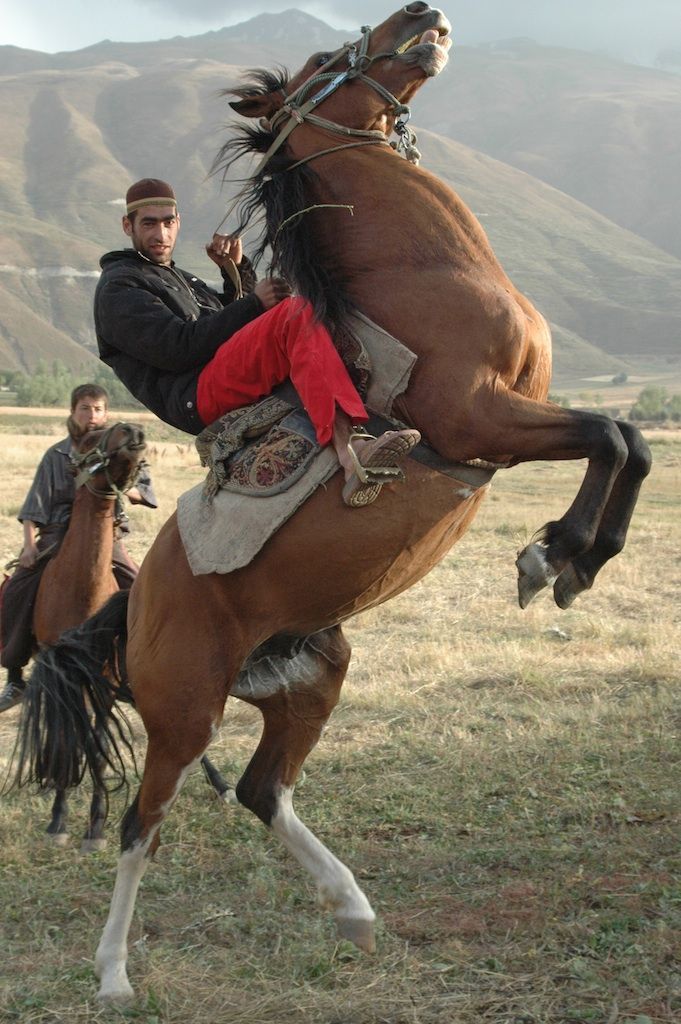 a man riding on the back of a brown horse next to another person in a field