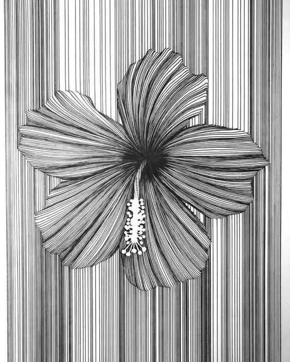 a black and white drawing of a flower on a striped background with vertical lines in the center