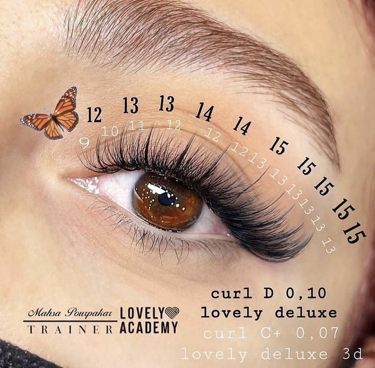 Natural Fake Eyelashes, Best Lash Extensions, Lashes Tutorial, Lashes Fake Eyelashes, Eyelash Tips, Eyelash Technician, Eyelash Extensions Styles, Lash Extensions Styles, Perfect Eyelashes