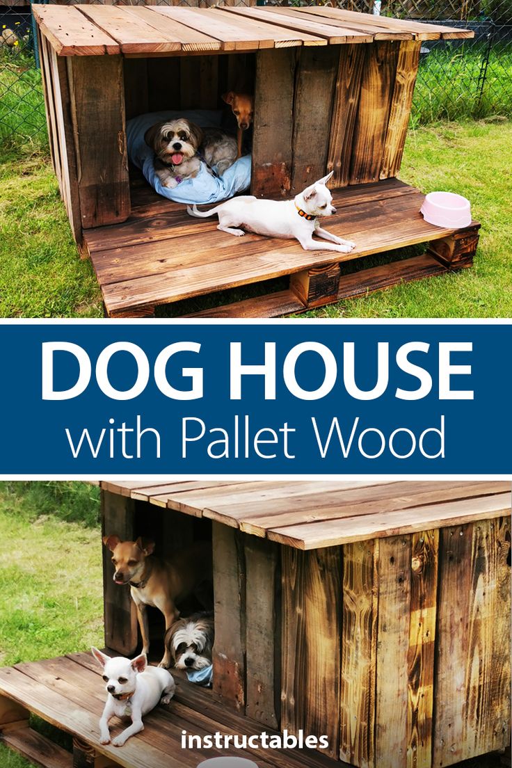 the dog house is made out of pallet wood and has two dogs in it