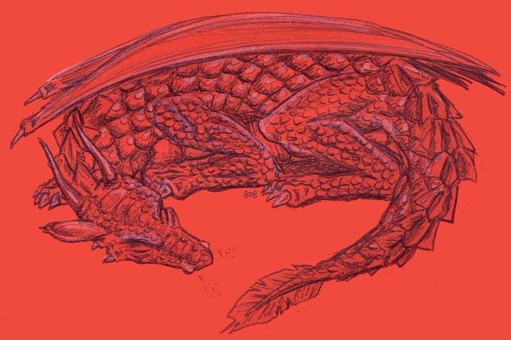 a drawing of a dragon on a red background