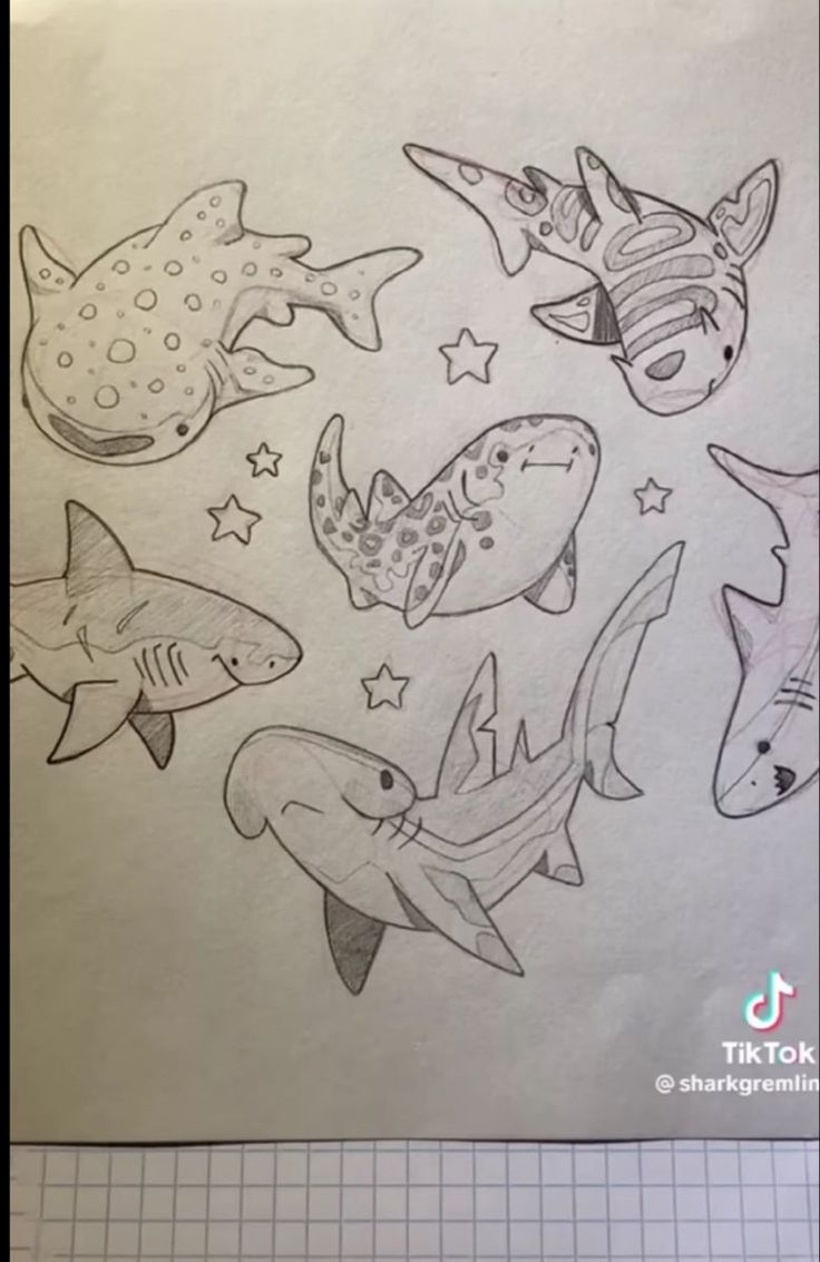 a drawing of different types of sharks and stars on white paper with graphing pencils