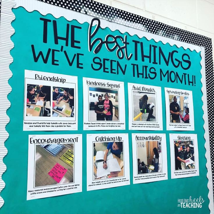 a bulletin board with pictures and writing on it that says the best things we've seen this month