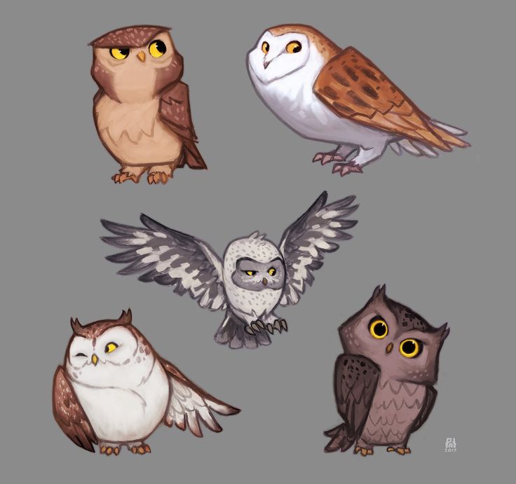 six owls with different colors and sizes are shown in this drawing, one is white, the other is brown