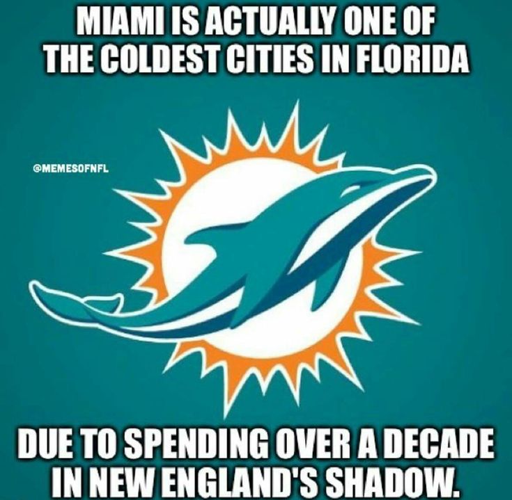 Miami Dolphins Memes, Dolphins Wallpaper, Miami Dolphins Wallpaper, Miami Dolphins Funny, Dolphin Quotes, Florida College, Miami Dolphins Cheerleaders, Dolphin Painting, Miami Girls