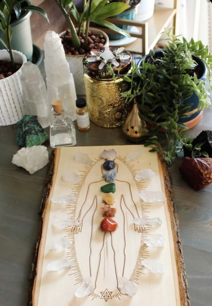 an image of a person on a wooden board surrounded by potted plants and rocks