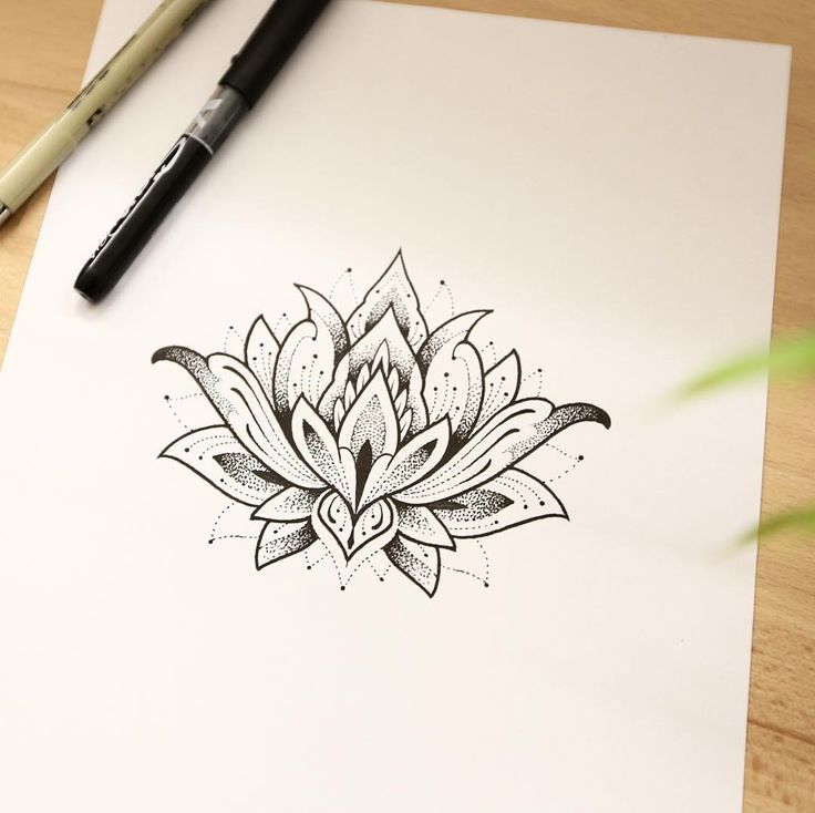 a drawing of a lotus flower on paper next to a pen and ink rollers